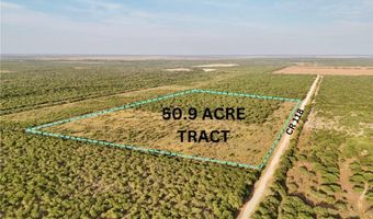 CR 119, Alice, TX 78332