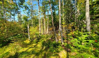 W McMann & Porcupine Hill Road lot 3, Addison, ME 04606