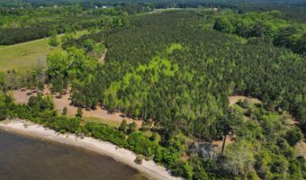 Burton Farm Road, Arapahoe, NC 28510