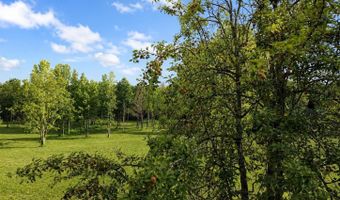 58 Acres Naples Ln, Arab, AL 35016
