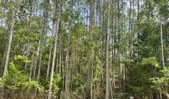 6856 Cottonwood Dr, Appling, GA 30802