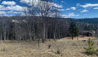 1188 May Queen Dr, Cripple Creek, CO 80813