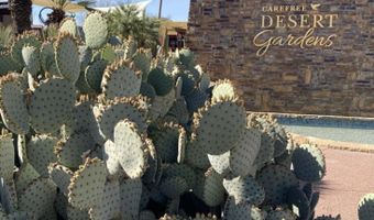 5830 E RESTIN Rd, Carefree, AZ 85377