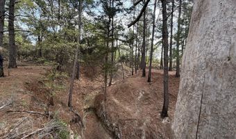 2548 County Road 2690, Alvord, TX 76225