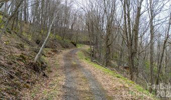 Tyler Lane, Bakersville, NC 28705