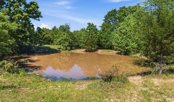 210 County Road 320, Alton, MO 65606