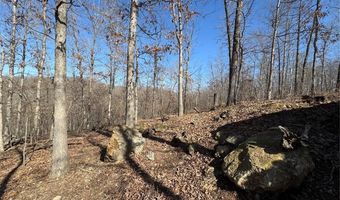 1003 Hidden Valley Lks, Annapolis, MO 63620