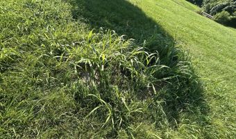 3187 Pleasant Hill Rd, Athens, OH 45701