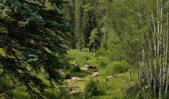 County Road 59, Allenspark, CO 80510