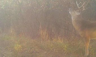 652 Nd St, Albia, IA 52531