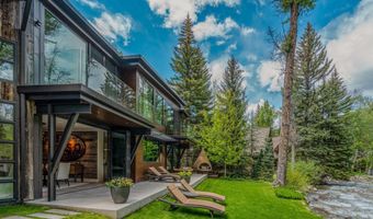 1110 Black Birch Dr, Aspen, CO 81611