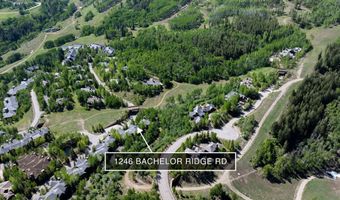 1246 Bachelor Ridge Rd 12, Avon, CO 81620