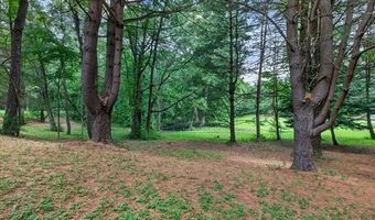 425 Courtney Rd, Addison Twp., MI 48367