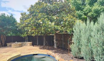 1401 Luckenbach Dr, Allen, TX 75013