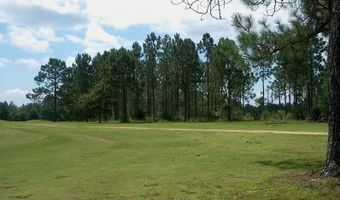 3821 Ga Highway 112 W, Ashburn, GA 31714