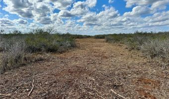 332 CR 171, Alice, TX 78332