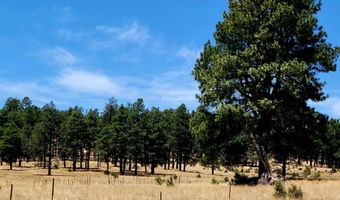 Tbd STONE CREEK RD CR 2117, Alpine, AZ 85920