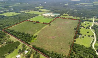 7009 129 Hwy, Bell, FL 32619