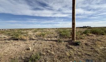 3700 Hidalgo Rd, Carlsbad, NM 88220