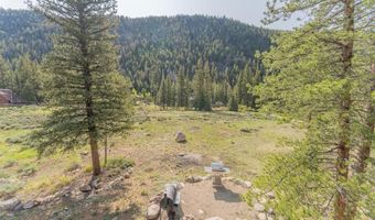 930 County Road 744, Almont, CO 81210