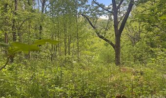 V/L Wolf Crossing, Bakersville, NC 28705