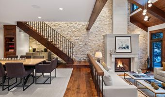 1345 Mayflower Ct, Aspen, CO 81611