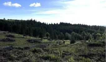 NW LODGE Rd, Banks, OR 97106