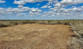 332 CR 171, Alice, TX 78332