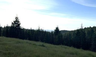 NW LODGE Rd, Banks, OR 97106