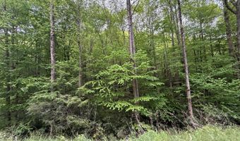 2 Lots Warrior Way Road Lot 11 & 15, Andrews, NC 28781