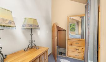 125 E Hyman Ave 1A, Aspen, CO 81611