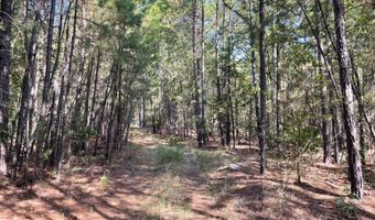 Tract 52 E 1885 Road, Antlers, OK 74523