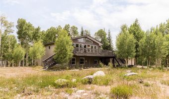 133 GOLD RUN Rd, Alma, CO 80440