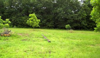 1071 LR 3, Ashdown, AR 71822