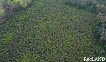 Cooper Lake Road, Bastrop, LA 71220
