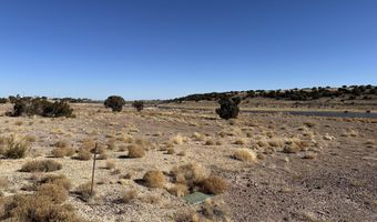 9 County Road 5700, Concho, AZ 85924