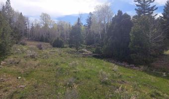 01195 Rito Hondo Rd, Antonito, CO 81120