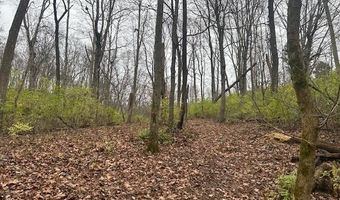 3 Salem Ridge Rd, Aurora, IN 47001
