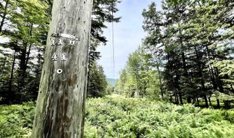 1386 Clif Reynolds Rd, Cambridge, VT 05444