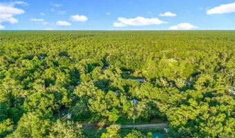45819 ILLINOIS Rd, Altoona, FL 32702