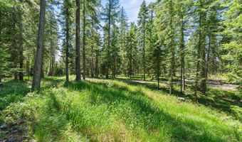 500 Wild Swan Trl, Bigfork, MT 59911