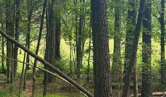 Piney Mountain Rd, Appomattox, VA 24522