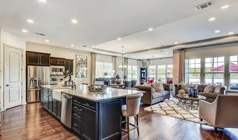 20 Knotty Pine Dr, Bluffton, SC 29909