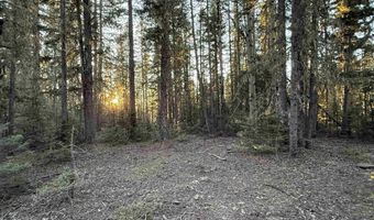 Happy Way lot 45, Angel Fire, NM 87710