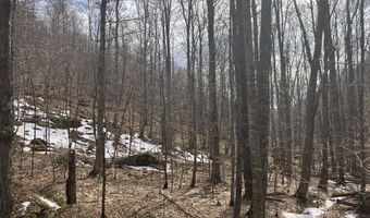 0 TBD Elleber Sods Rd, Bartow, WV 24920