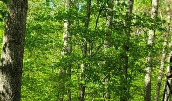 Barnes Road, Bardstown, KY 40004