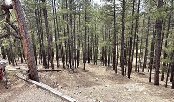 29 27 N 2058, Alpine, AZ 85920