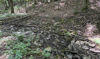 Green Road, Alfred, NY 14802