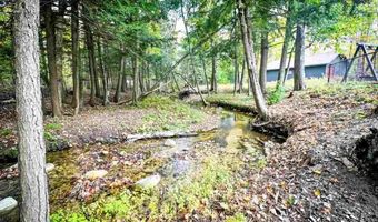5441 Valley Rd, Alanson, MI 49706
