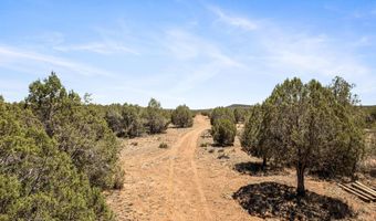 Arrow Wash Trail, Ash Fork, AZ 86320